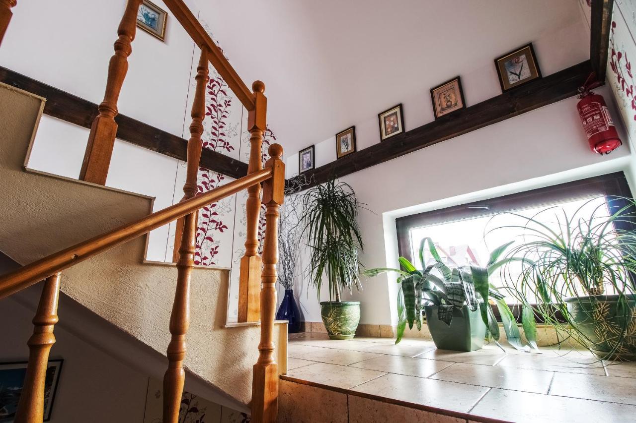 Chata Pod Jemiola Zakopane Ngoại thất bức ảnh